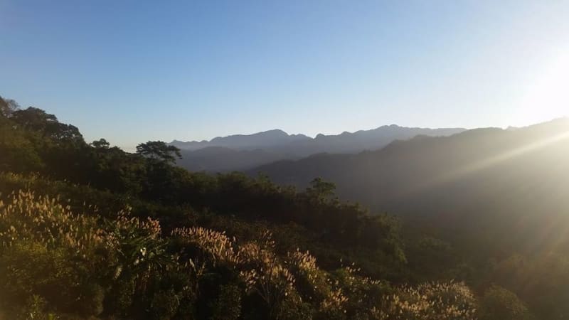 大山背休閒農場（照片出處：大山背休閒農場Facebook粉絲團）