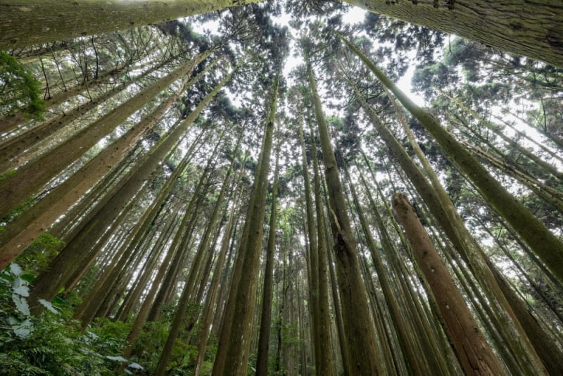 走訪小百岳加里山