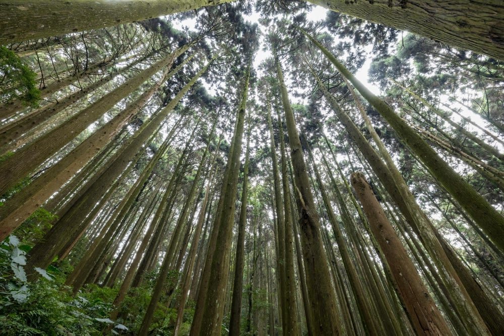 【苗栗南庄】苗栗慢城二日遊，走訪小百岳加里山