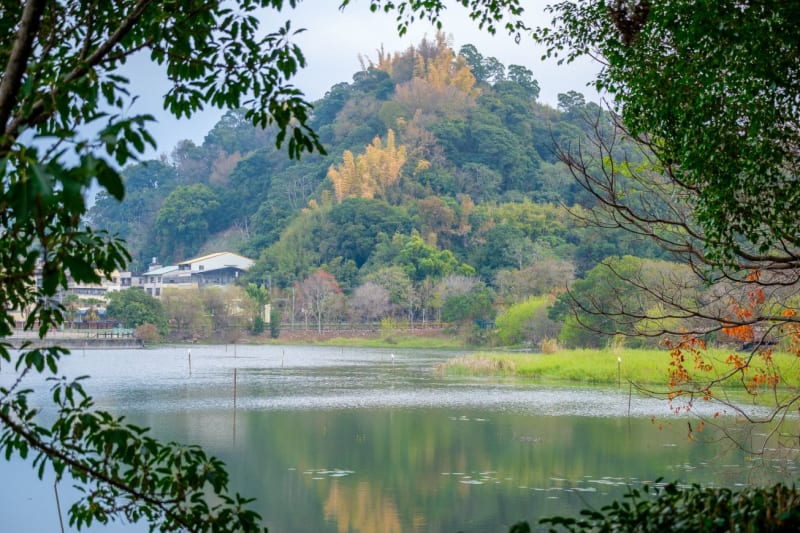 東勢林場四季景緻分明