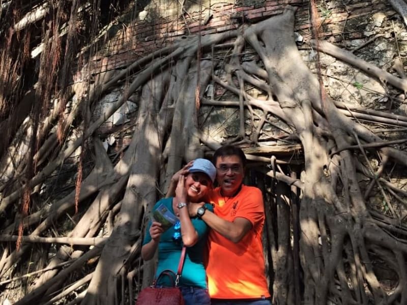 Explore the wild and natural phenomenon of the Anping Tree House