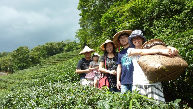 透過專業導遊的視角得到前所未有的體驗